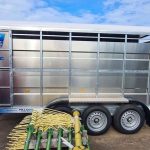 2019 Falcon 14ftx6ft triaxle cattle trailer very clean